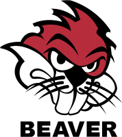 Мини-погрузчики Beaver